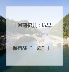 河南杞县：抗旱保苗战“三夏”